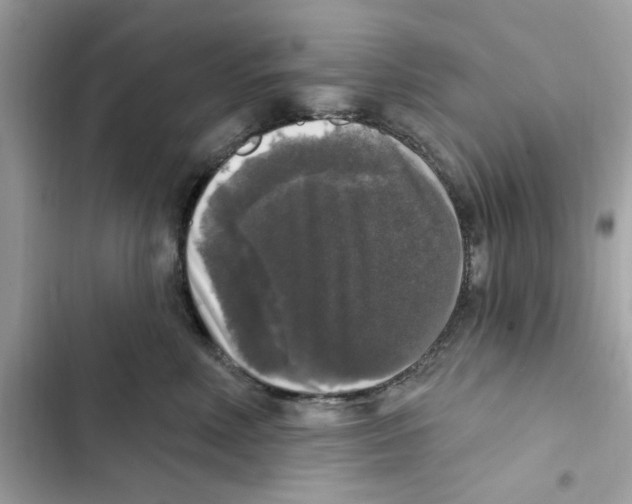 X0000101970618200808151339