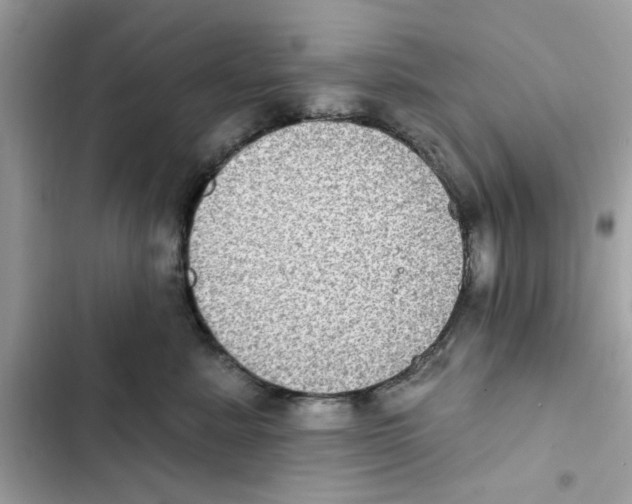 X0000101970619200808151339