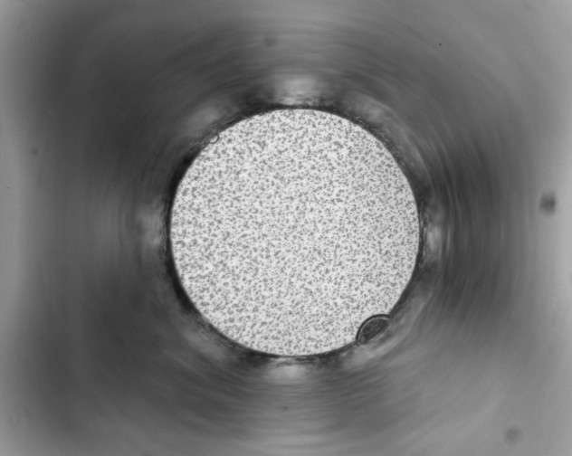 X0000101970620200808151339