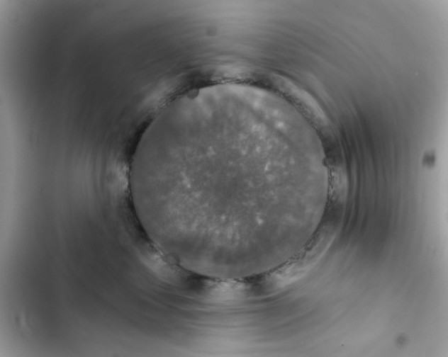 X0000101970621200808151339