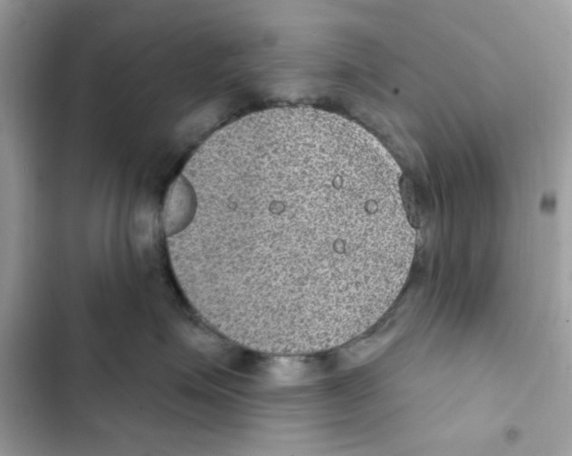 X0000101970623200808151339