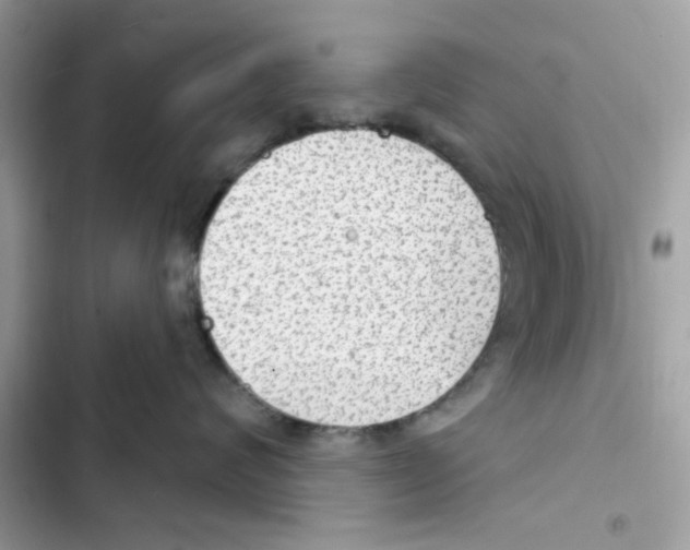 X0000101970624200808151339