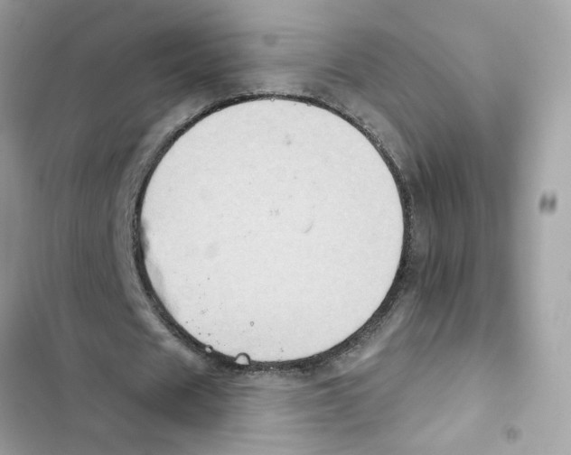 X0000101970625200808151338
