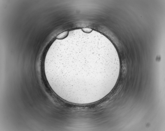 X0000101970626200808151338