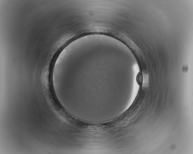 X0000101970627200808151338
