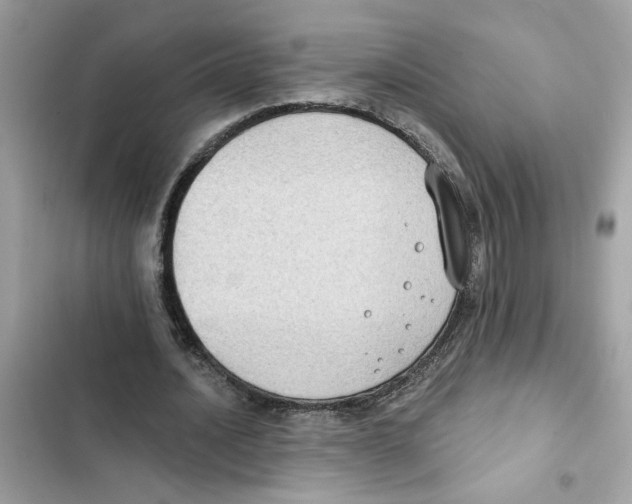 X0000101970628200808151338