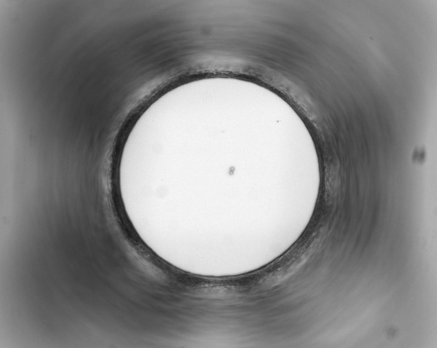 X0000101970629200808151338