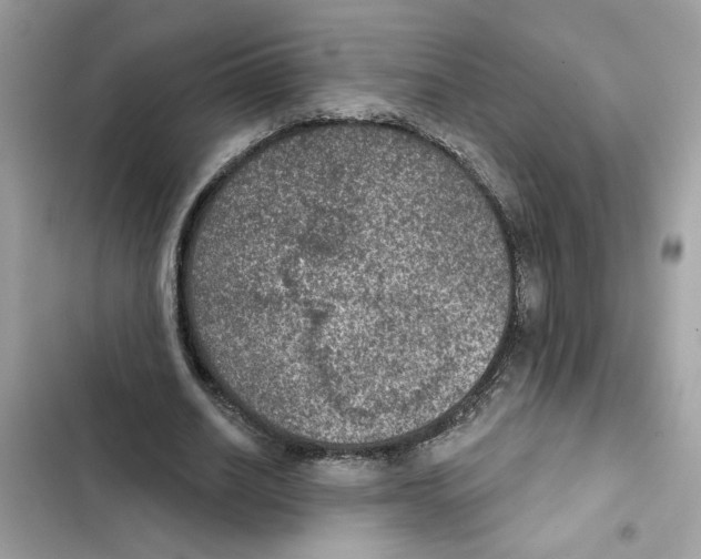 X0000101970630200808151338