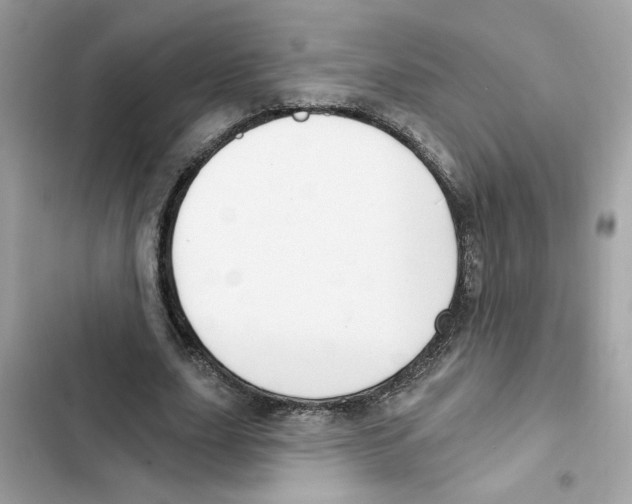 X0000101970631200808151338