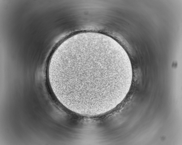 X0000101970632200808151338