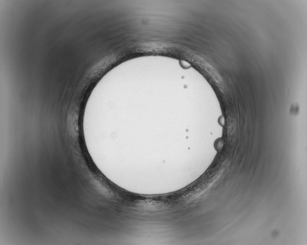 X0000101970633200808151338