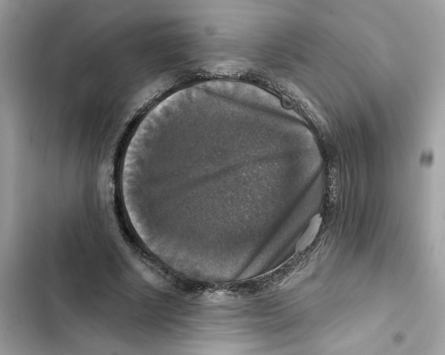 X0000101970634200808151338