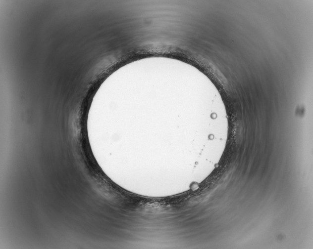 X0000101970635200808151339