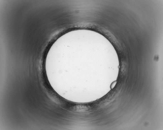 X0000101970636200808151339