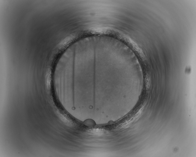 X0000101970637200808151339