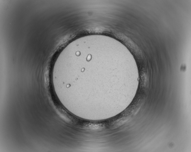 X0000101970638200808151339