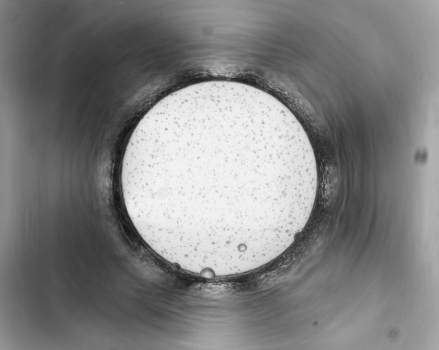 X0000101970639200808151339