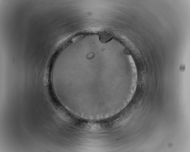 X0000101970640200808151339