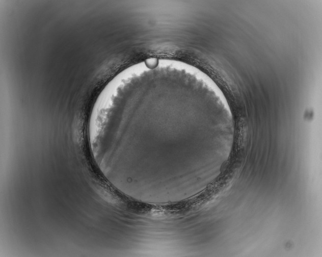 X0000101970641200808151339