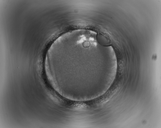 X0000101970642200808151339
