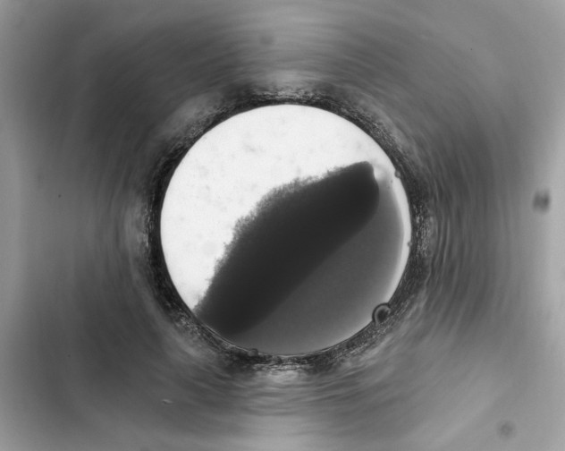 X0000101970643200808151339