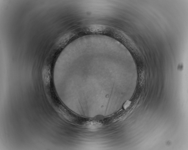 X0000101970644200808151339