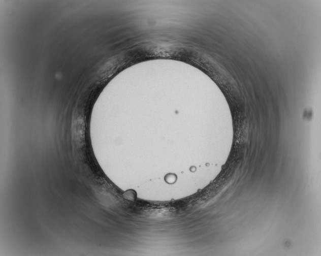 X0000101970646200808151339