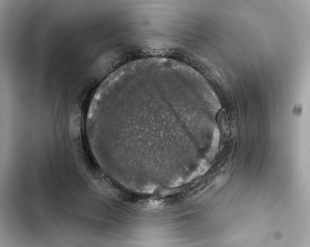 X0000101970647200808151339