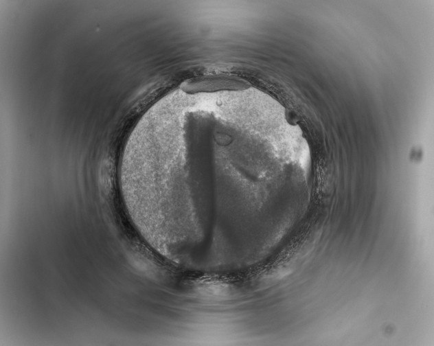 X0000101970648200808151339