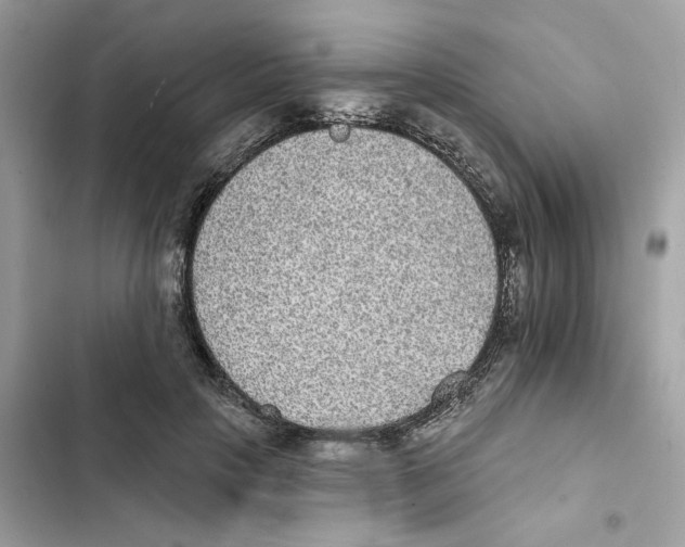 X0000101970649200808151339