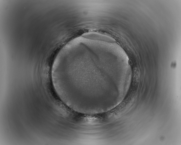 X0000101970650200808151339