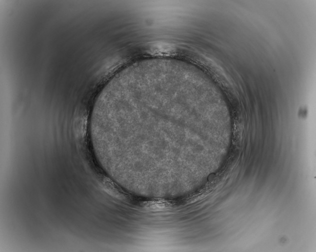 X0000101970652200808151339