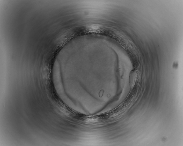 X0000101970653200808151339