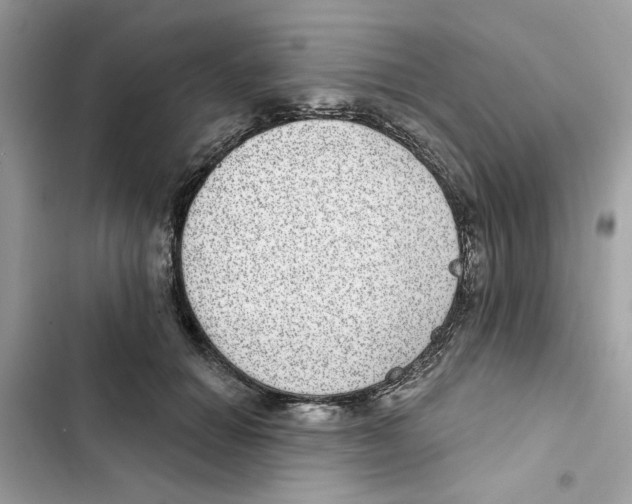 X0000101970654200808151339