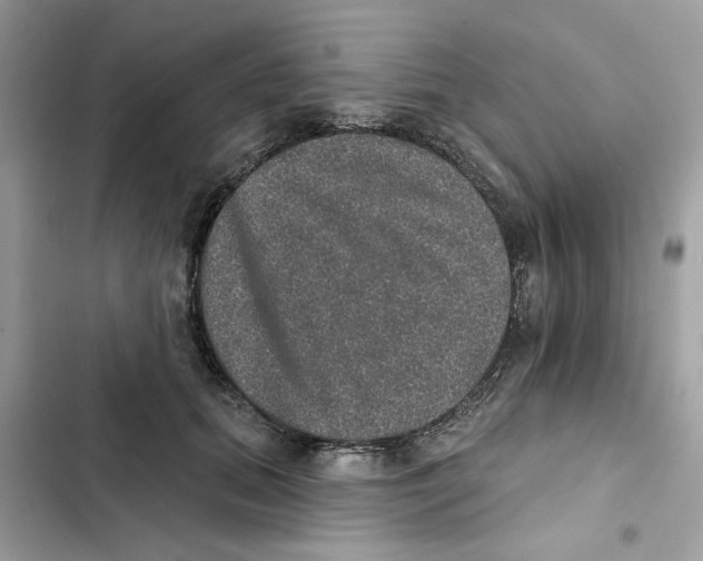 X0000101970655200808151339