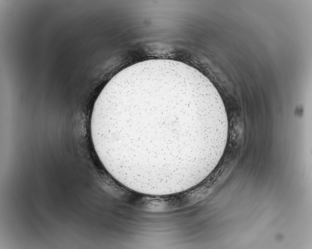X0000101970658200808151339