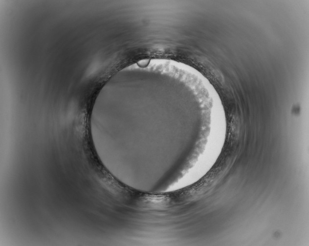 X0000101970659200808151339