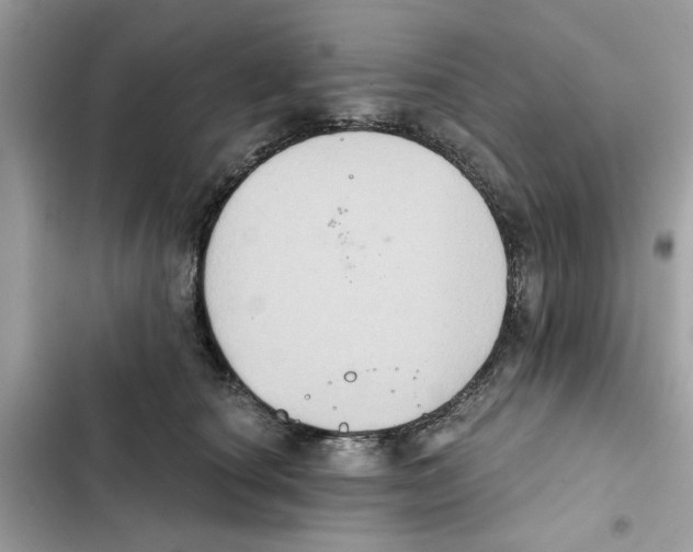 X0000101970660200808151339