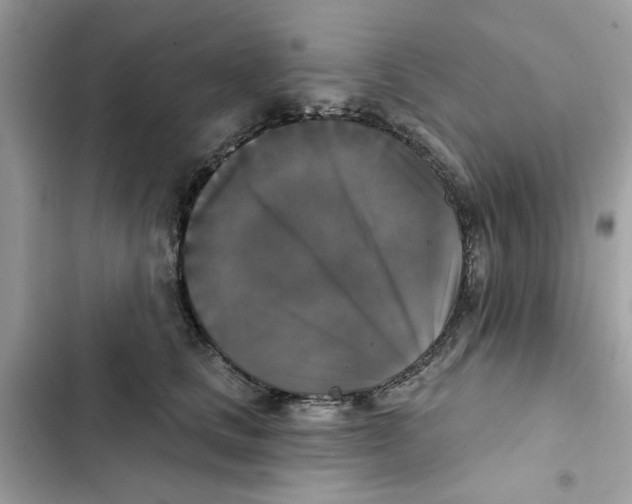X0000101970661200808151339