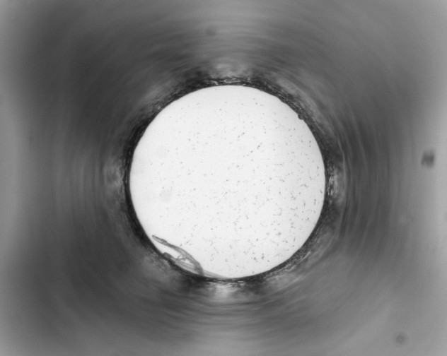 X0000101970662200808151339