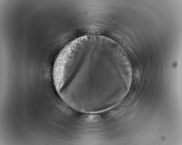 X0000101970663200808151339