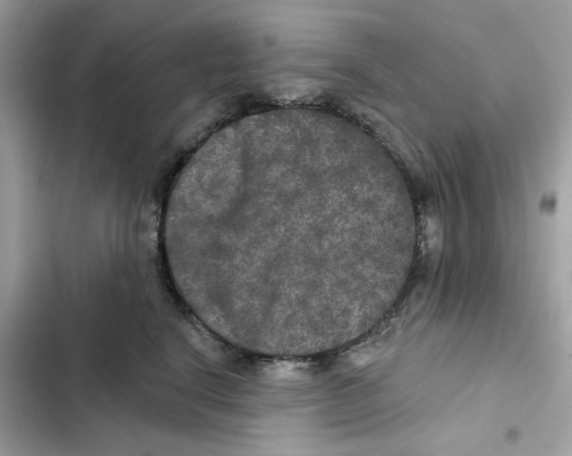 X0000101970664200808151339