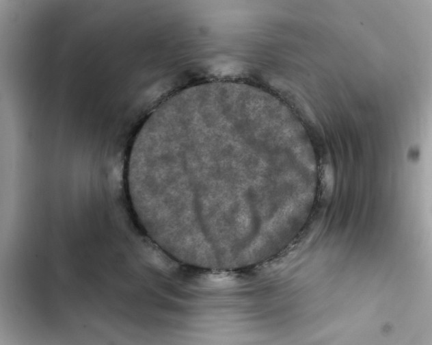 X0000101970668200808151339