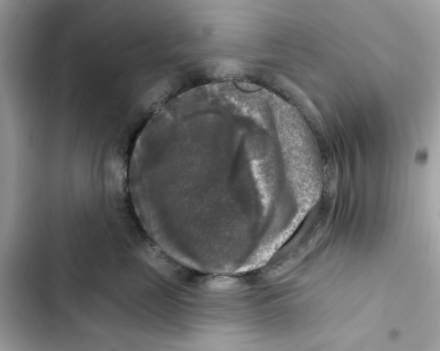 X0000101970669200808151339