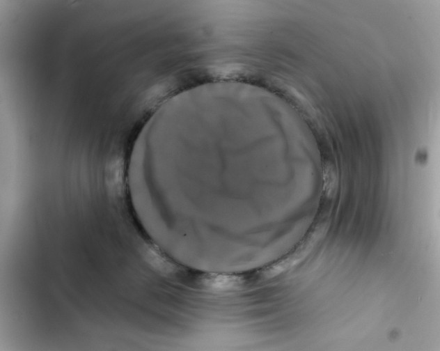 X0000101970670200808151339