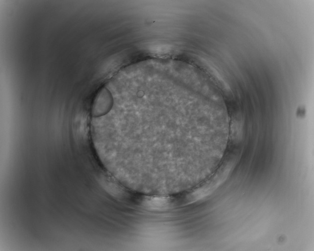 X0000101970671200808151339