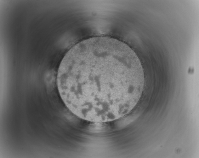X0000101970672200808151339