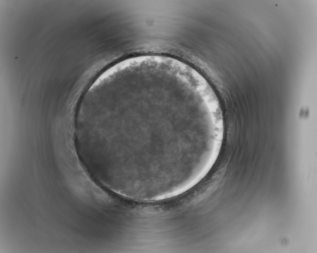 X0000101970673200808151338