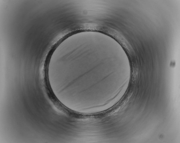 X0000101970674200808151338