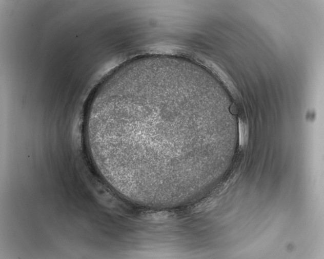 X0000101970675200808151338